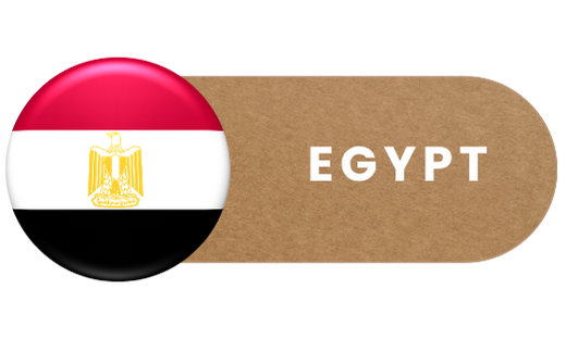 flag-logo