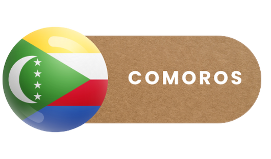 flag-logo